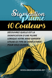 signification-des-plumes
