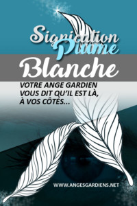 signification-des-plumes-blanches