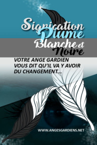 signification-des-plumes-blanches-et-noires