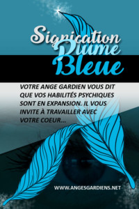 signification-des-plumes-bleues