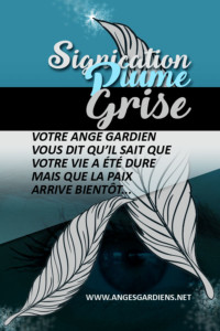 signification-des-plumes-grises