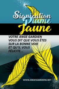 signification-des-plumes-jaunes