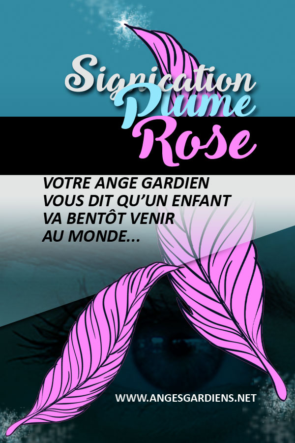signification-des-plumes-roses