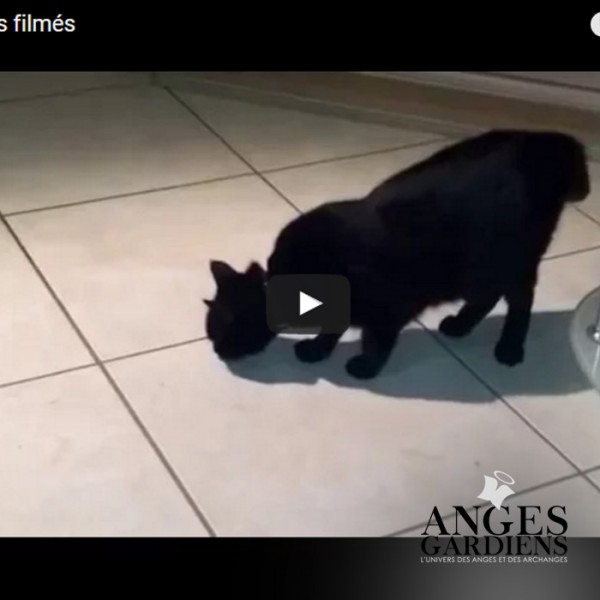 orbes flmees sur video