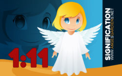 signification 1 11