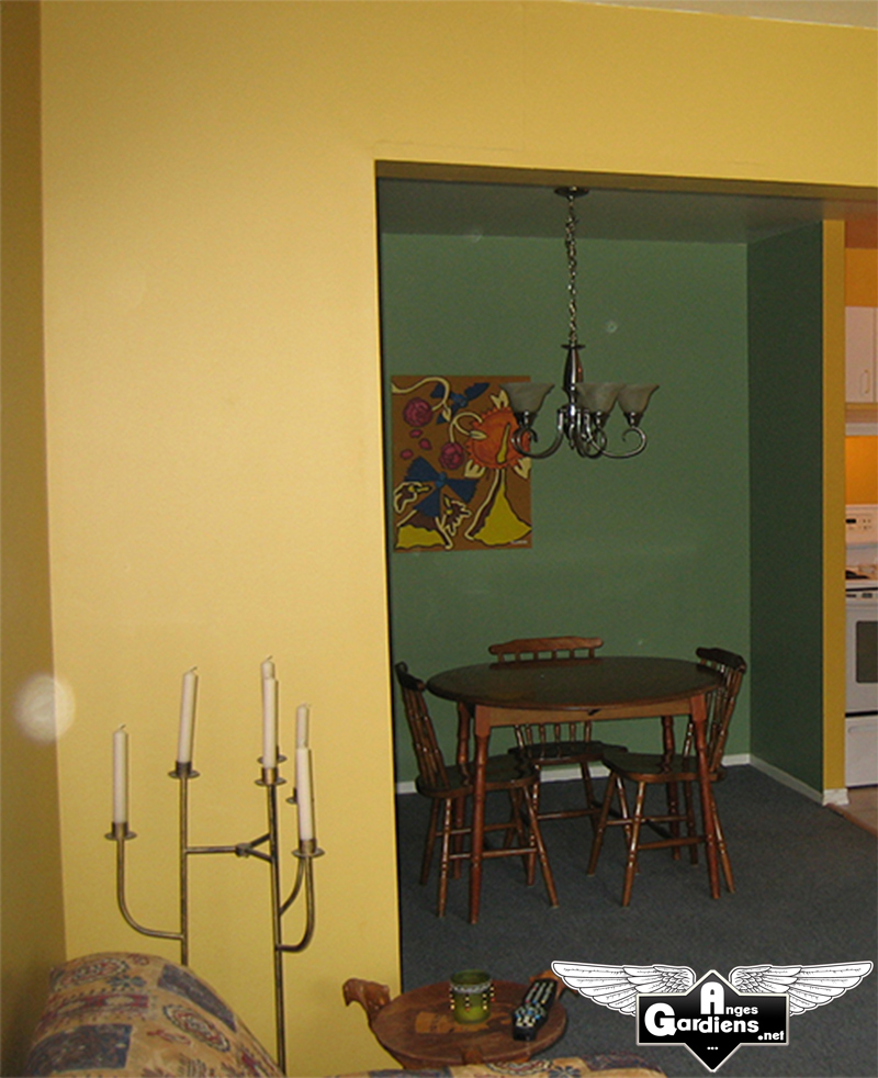 apparition-de-orbes-salon-salle-a-manger-gros-plan-1